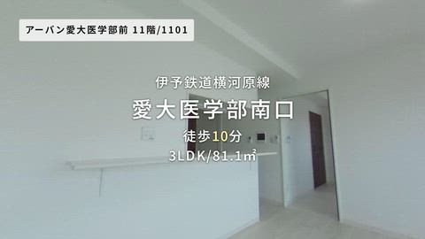 紹介ムービー