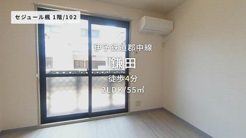 紹介ムービー