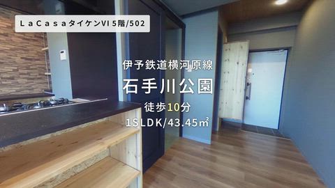 動画