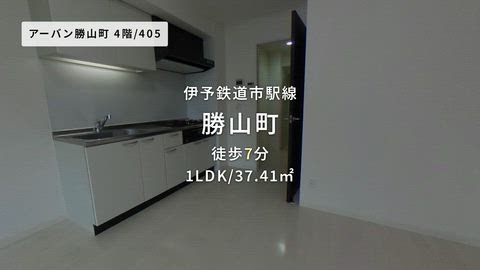 動画