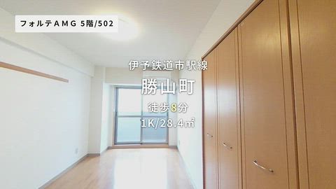 動画
