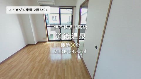 動画