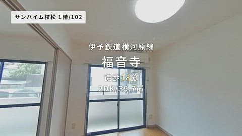 動画