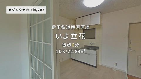 動画
