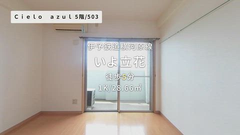 動画