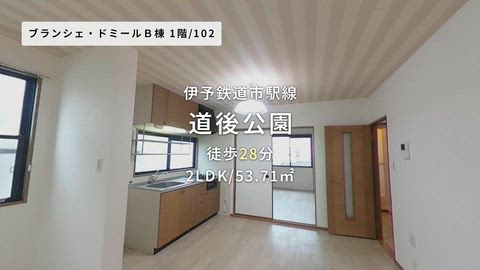 動画