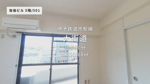 動画