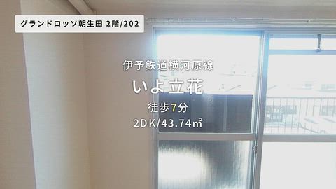 動画