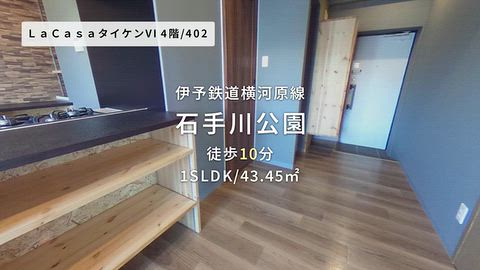 動画
