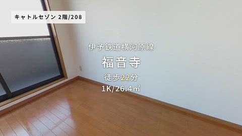 動画