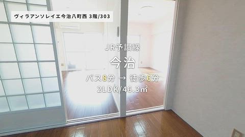 動画
