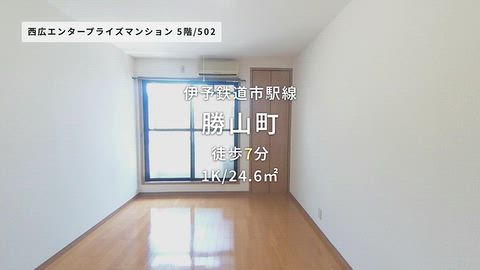 動画