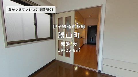 動画