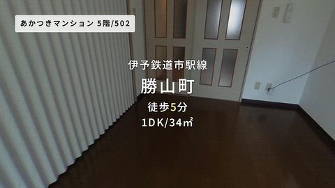 動画