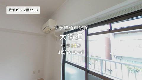 動画