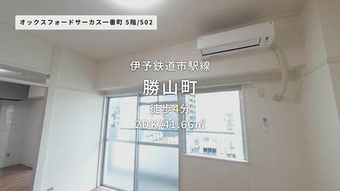 動画