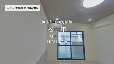 動画