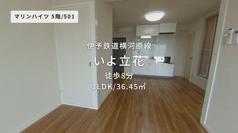 紹介ムービー