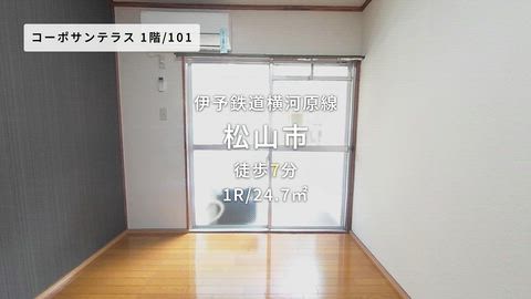 動画
