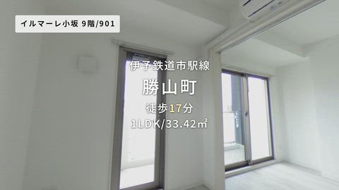 紹介ムービー