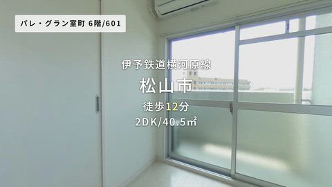 動画