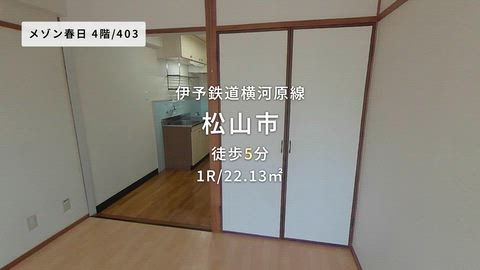 動画