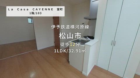 動画