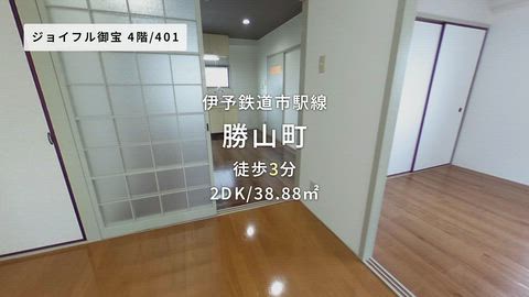 動画