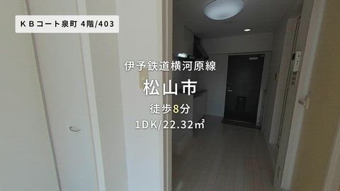 動画