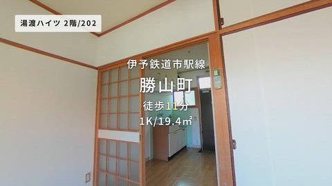 動画