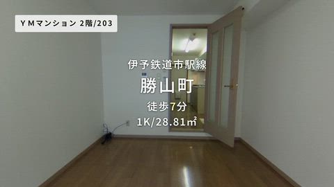 動画