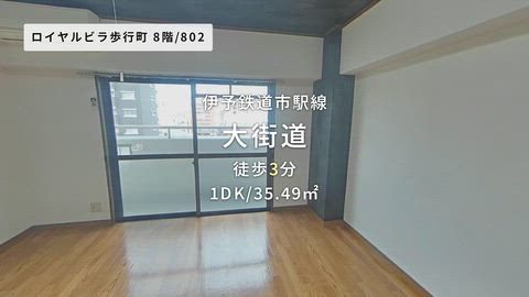 動画