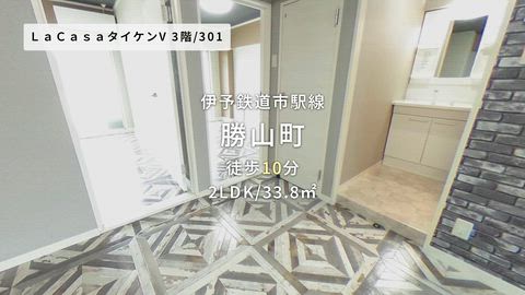 動画