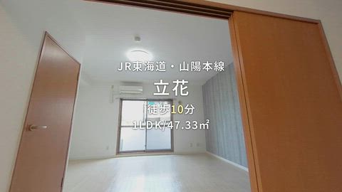 動画