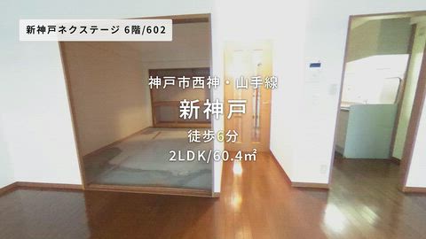 動画