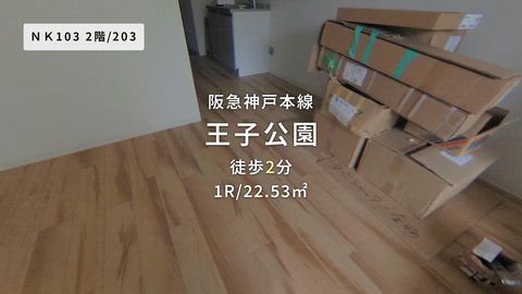 動画