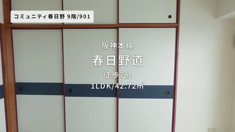 動画