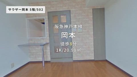 動画