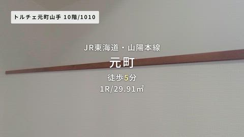 動画