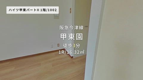 動画