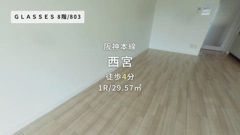 動画