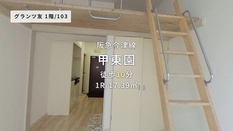 動画
