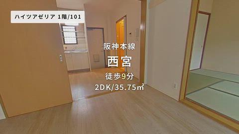 動画