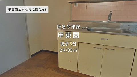 動画