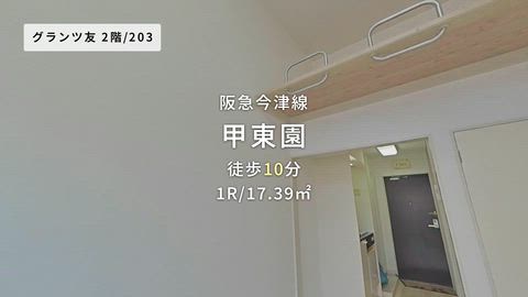 動画