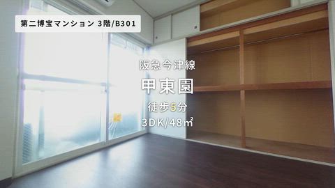 動画