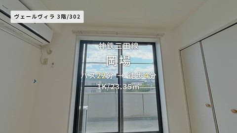 動画