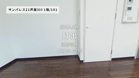 動画
