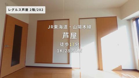 動画