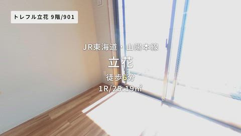 動画